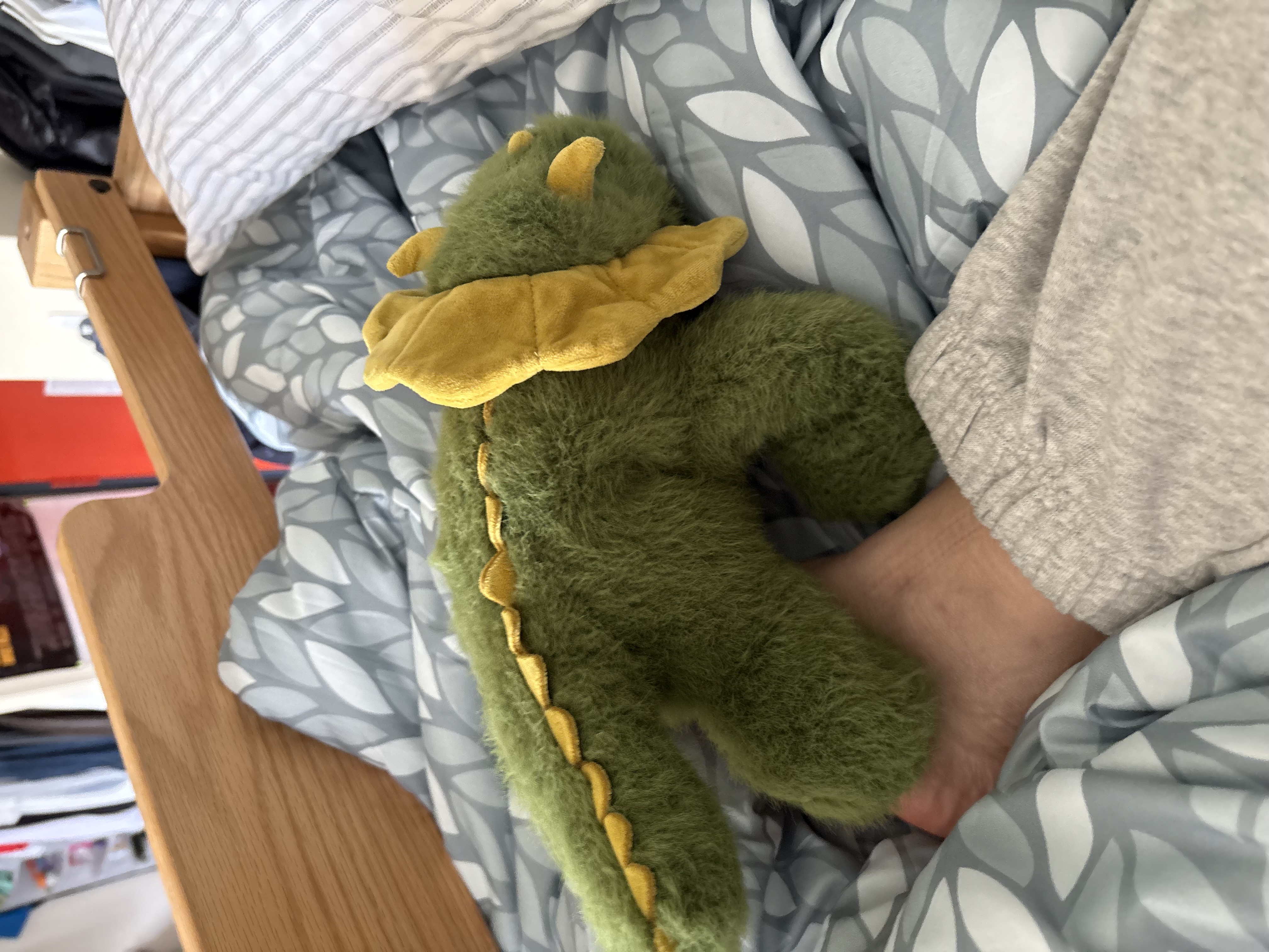 Dino in dorm bed